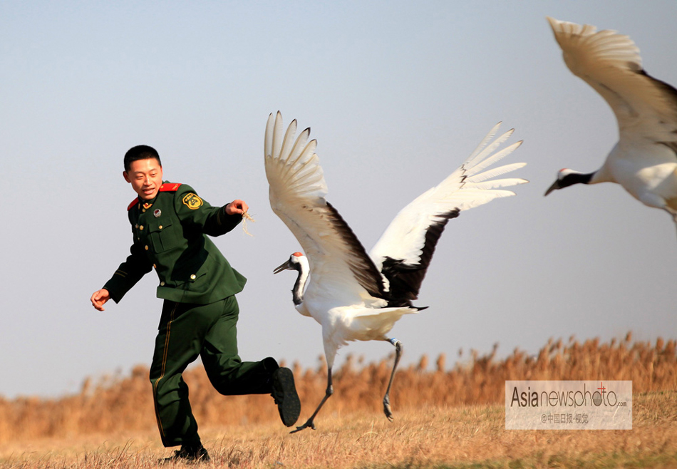 中國日報一周圖片精選：12月7日—13日