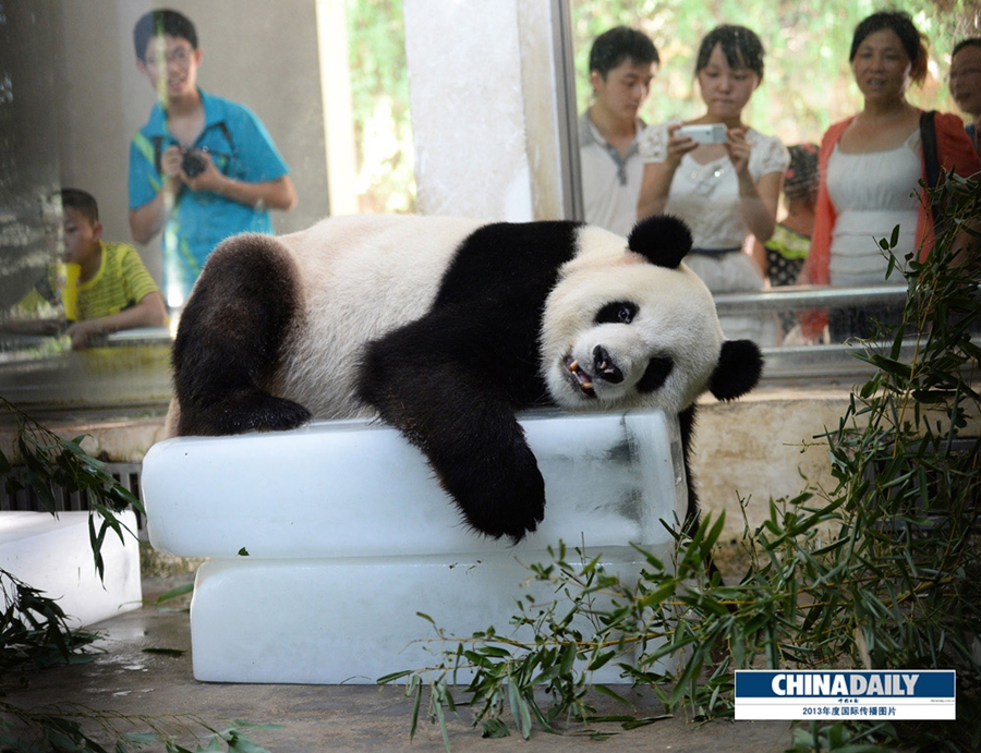 中國日?qǐng)?bào)2013年度國際傳播圖片精選