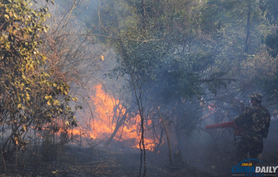 貴州福泉森林火災被撲滅 5救火人員遇難