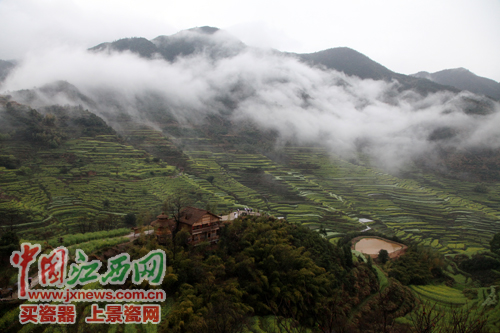 全國(guó)網(wǎng)媒記者邂逅婺源篁嶺 云山“婺”海令人醉