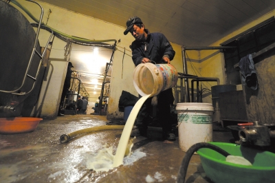 農業部處理“賣奶難” 協調乳企增購生鮮乳