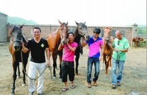 家有寶“馬” 探秘重慶馬友(多圖)