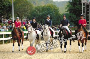 重慶馬術隊將落戶巴濱路馬術中心 可免費看千萬元純種馬表演
