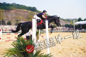重慶馬術隊將落戶巴濱路馬術中心 可免費看千萬元純種馬表演