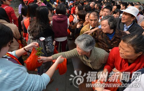 福州首次大規(guī)模免費贈花苗 市民2小時領(lǐng)走7萬株