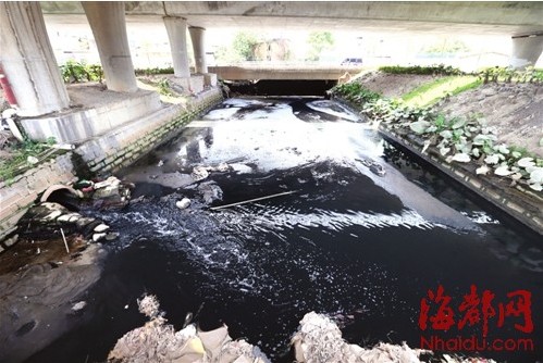 金山流花溪被渣土截?cái)?中下游河道塞滿了水浮蓮和垃圾