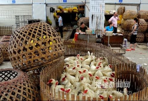 福州海峽家禽批發市場重新開門營業