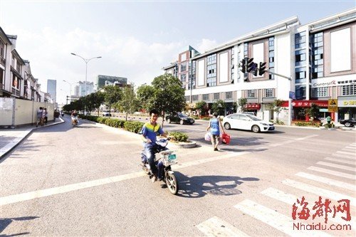 福州市區遮蔭大樹被移走 部門稱樹少是為透街景