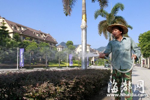 福州市民響應(yīng)“一桶水”行動 千人接力護綠