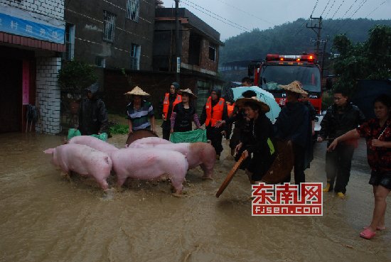 “天兔”發威多地被淹 消防員臉盆當船救出嬰兒