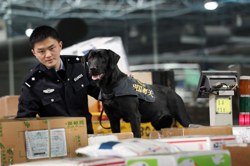 海關訓犬員的故事