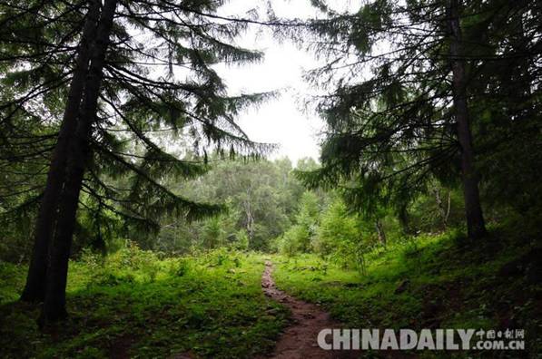 平泉縣林業(yè)局建立巡察工作制度 從嚴(yán)管理成為新常態(tài)