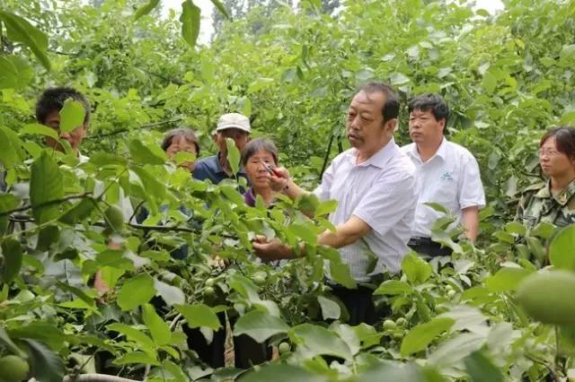 一個“農民教授”，為何感動了百萬河北人