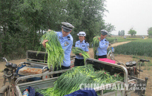 邯鄲雞澤交警下地“打蒜薹”扎實開展“兩學一做”活動