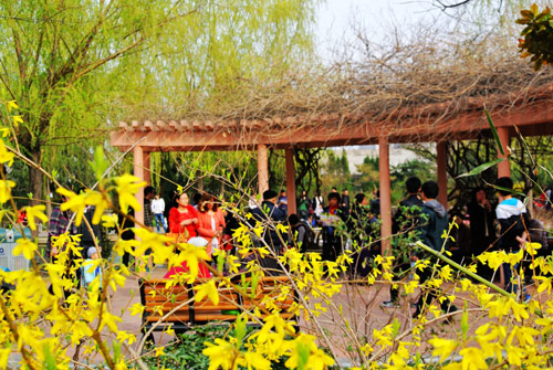 鄭州：陽(yáng)春三月花爛漫