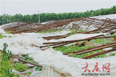 黑龍江肇源遭大風(fēng)襲擊風(fēng)力超10級 損失超千萬元