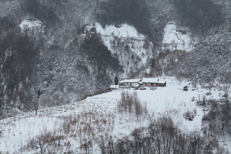 神農(nóng)架降十年最大春雪