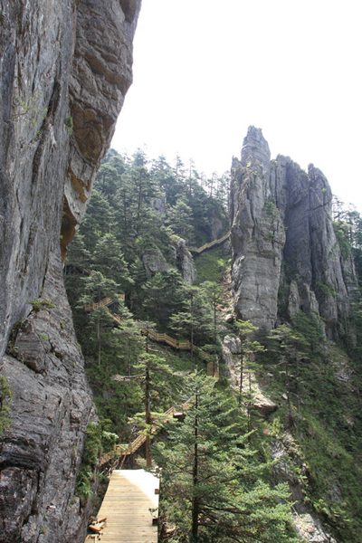 最長(zhǎng)棧道揭“神農(nóng)一景”神秘面紗