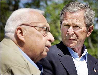 沙龍“命運(yùn)”今見分曉 賴斯等待葬禮?