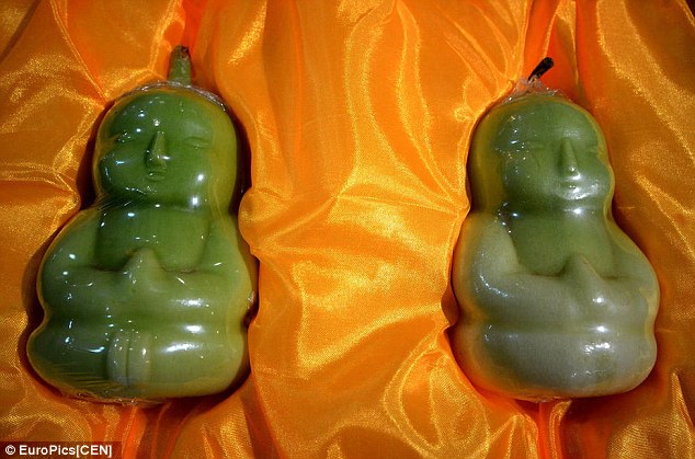 Farmer creates special pears<BR>贛果農種出'人參梨'(圖)