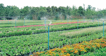 Harmonious combination of modernity and heritage