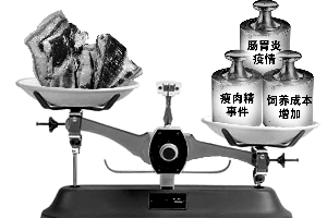 分析稱(chēng)瘦肉精事件推漲豬肉價(jià)格 火腿香腸或漲價(jià)