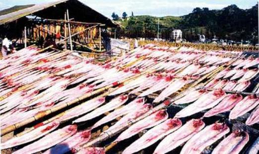 魚翅的“戰(zhàn)爭”：北京一天消費(fèi)一個億魚翅