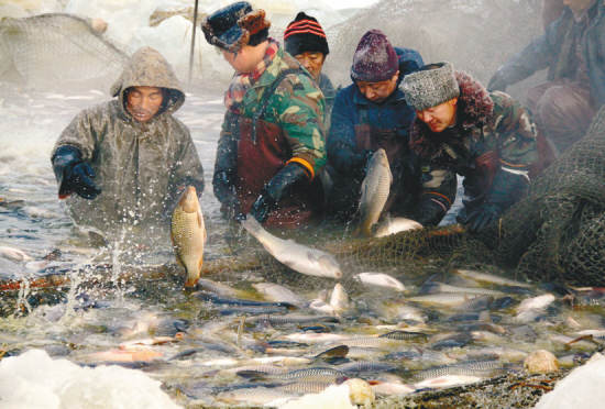 年年有“魚”