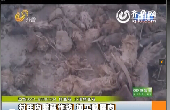 臨沂：村莊內(nèi)暗藏小作坊 日加工死狐貍?cè)馍习賴?/></p>

<p><strong>臨沂</strong>齊魯網(wǎng)<strong>11月13日訊</strong>同樣的一袋肉，在這家超市是羊肉，到了另一家超市變成了驢肉，再換一家超市又成了狗肉，然而這是一袋最不應(yīng)該出現(xiàn)在消費(fèi)者餐桌上的肉，為了消費(fèi)者的食品安全，記者冒著風(fēng)險(xiǎn)連續(xù)三天的暗訪，究竟是什么肉呢？</p>

<p>據(jù)山東廣播電視臺(tái)齊魯頻道《小溪辦事》欄目報(bào)道，這是臨沂河?xùn)|區(qū)鳳凰嶺街道的潘家湖村，一進(jìn)村記者就聞到了引人做嘔的腥臭味，爆料人稱這是村里人加工肉的味道，而且全村每家每戶都參與加工肉的工作，這也成為全村人的主要經(jīng)濟(jì)來源。“這是暴利，一天掙大（近）萬多塊錢，這不暴利嗎？這味太大了，我在里面聞不了。”</p>

<p>記者在看到村里的街道上到處都是動(dòng)的肝臟和爪子，街道上每隔十幾米就有一個(gè)加工肉的作坊，報(bào)料人稱加工肉的作坊沒有任何手續(xù)，而他們加工的究竟是什么肉呢？</p>

<p>爆料人拿著起一袋肉稱：“這就是他們當(dāng)狗肉賣的狐貍凍！肉凍是用水和膠勾兌的，再把肉摻在一起。”這包裝的“農(nóng)家風(fēng)味”，竟然是狐貍?cè)狻Ｓ浾卟榭赐獍b，沒任何的生產(chǎn)廠家、生產(chǎn)日期和保質(zhì)期，更沒有任何國(guó)家食用標(biāo)準(zhǔn)的三無產(chǎn)品，而爆料人稱這些三無產(chǎn)品非常暢銷，“山東德州、內(nèi)蒙古、南方一帶江蘇銷量比較大”。</p>

<p>記者從爆料人那里了解到，這狐貍?cè)猱a(chǎn)品可不止狐貍凍這一種，而是五花八門什么肉都有，利潤(rùn)非常可觀。“油什么的、肝什么的都賣了，沒有扔的，還有狐貍骨頭架子，這些東西都賣了，沒有剩下的東西，當(dāng)成狗肉、牛肉、羊肉這些肉賣了，以次充好！”爆料人還稱：“他們的利潤(rùn)空間非常大，一個(gè)冬天大約能賺好十幾萬。”</p>
</p>
</div>
</div>

<div   class=
