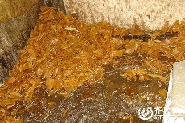 泰安檢察官揭秘“毒皮肚”案審判過程：制售者險(xiǎn)逃法網(wǎng)