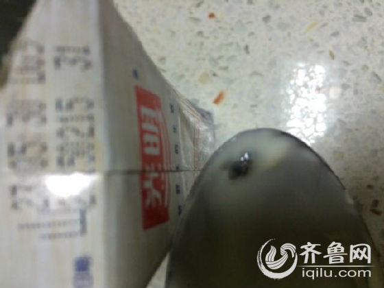 濟南市民光明莫斯利安酸奶喝出蒼蠅 售后：愿賠200元