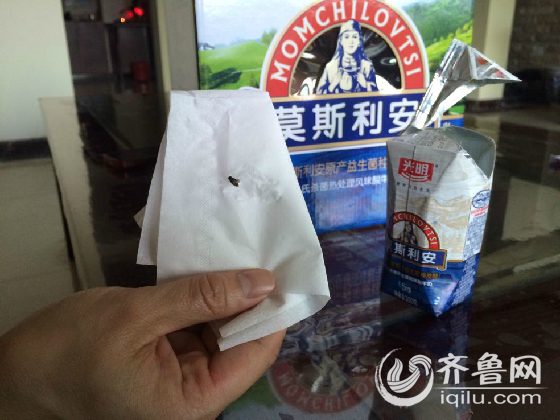 濟南市民光明莫斯利安酸奶喝出蒼蠅 售后：愿賠200元