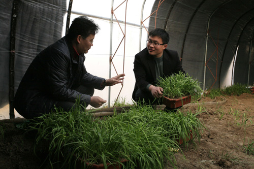 大學(xué)生柴會(huì)龍的“家庭農(nóng)場(chǎng)夢(mèng)”