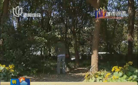 蓮花路地鐵站外綠地成垃圾堆和公廁 環(huán)境死角待整改