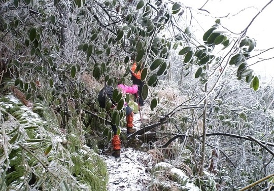 廣西10名失蹤“驢友”位置確定 大雪封山救援難度大