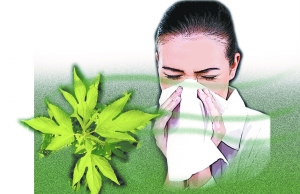 哪些外來生物已經入侵北京？