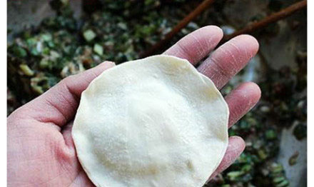 12種餃子包法走紅網絡 “向日葵餃子”引驚嘆
