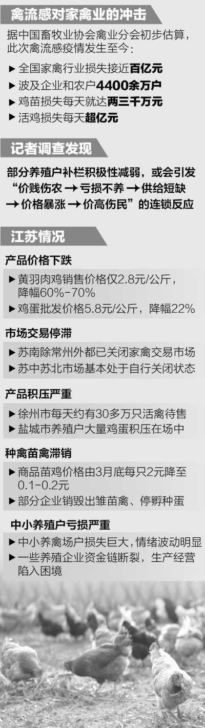 多地禽肉類價格大幅下挫 關聯企業紛紛虧損
