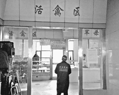 多地禽肉類價格大幅下挫 關聯企業紛紛虧損