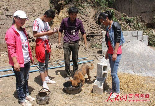 甘肅地震“狗堅強(qiáng)”：小黃狗被埋31小時獲救