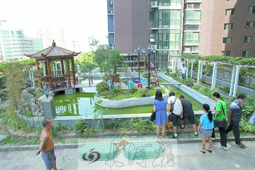 鄭州現樓頂私人花園 修涼亭魚池種菜養鵝(圖)