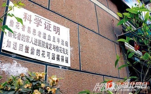 另類沖刺標語屌絲氣息濃郁 盤點那些令人無語的奇葩標語（組圖）
