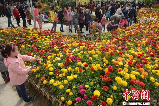 山西民眾踏青扎堆 花卉生態園日接游客上萬