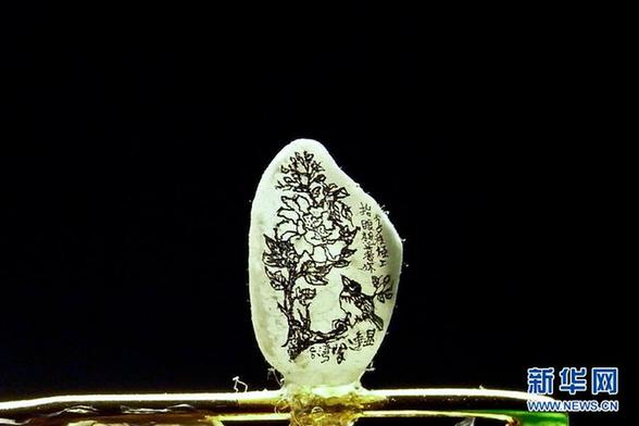 在大米粒上創(chuàng)作 微縮藝術(shù)沒有最小只有更小
