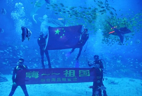 企鵝的感動　全國8強(qiáng)總決賽拉開帷幕