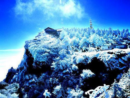 仙境般的純白世界 這個(gè)冬假拎起行裝去雪原