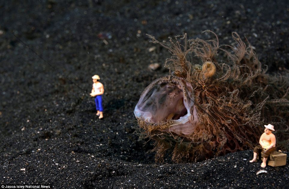 趣味攝影:水底小人國世界(組圖)