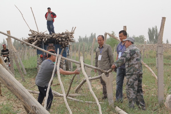 駐第三師紅旗農場的“訪惠聚”工作組開展工作掠影