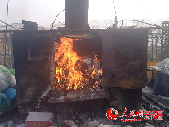 烏魯木齊機(jī)場(chǎng)口岸截獲近百株非法進(jìn)境樹(shù)苗