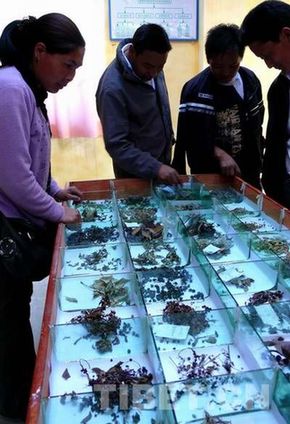 珠峰自然保護區:環保卓有成效 環境風貌依舊